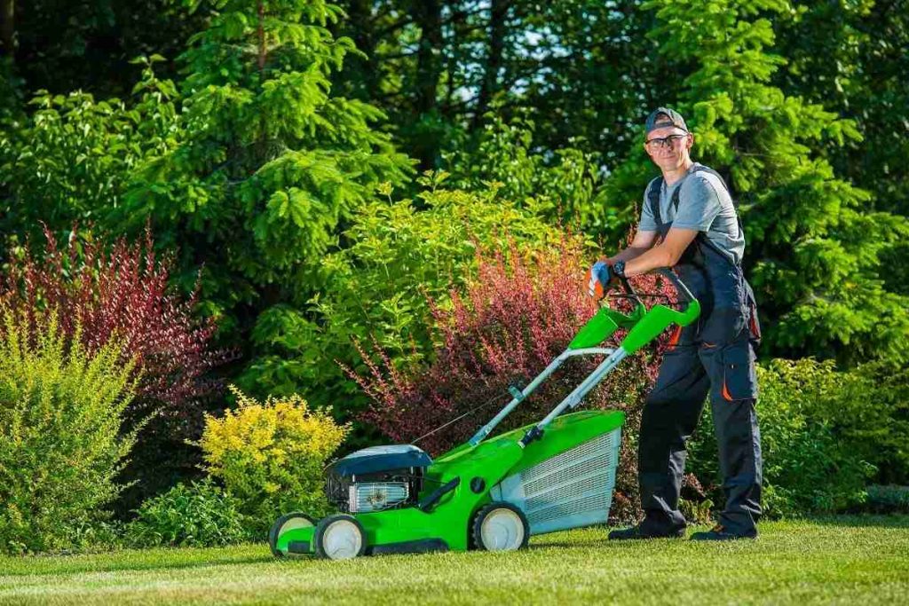 Professional Lawn Care Services In Wellington CO