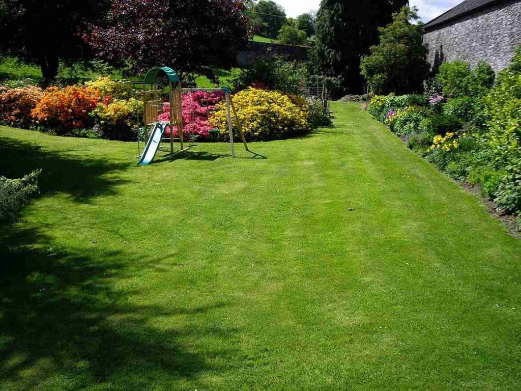 Professional Landscaping Services In Windsor CO